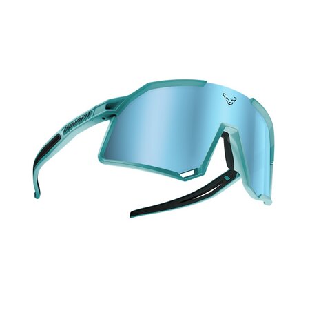 Športové okuliare Dynafit Trail Evo Sunglasses Marine Blue/Blueberry
