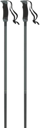 Lyžiarske palice Atomic Redster Q SQS Green