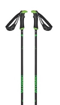 Lyžiarske palice Atomic Redster X Carbon SQS grey/green 20/21