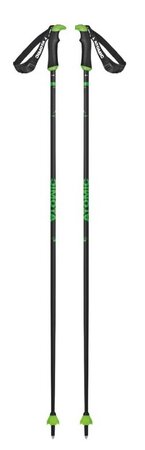 Lyžiarske palice Atomic Redster X Carbon SQS grey/green 20/21