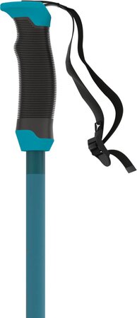 Lyžiarske palice Atomic Redster X Sqs Teal Blue