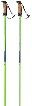 Lyžiarske palice Elan Speedrod Green