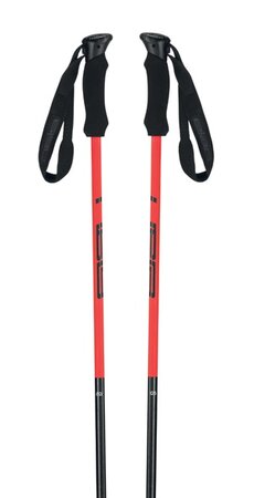 Lyžiarske palice Elan Speed Magic Red