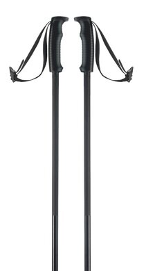 Lyžiarske palice Elan SpeedRod Black