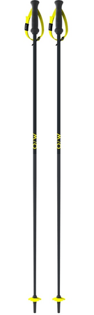 Lyžiarske palice Fischer GT 14 Dark