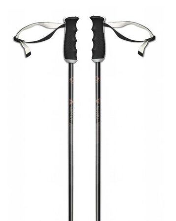 Lyžiarske palice Fischer My Carbon