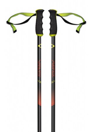 Lyžiarske palice Fischer RC4 The Curv AL 18/19