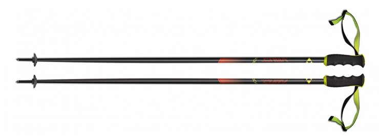 Lyžiarske palice Fischer RC4 The Curv AL 18/19