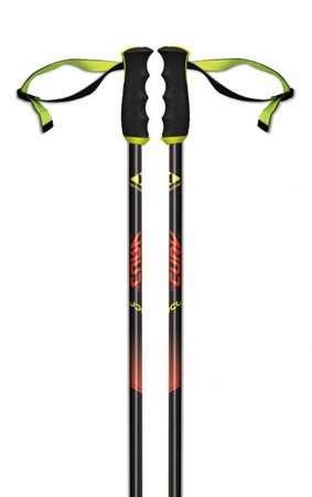 Lyžiarske palice Fischer RC4 The Curv AL