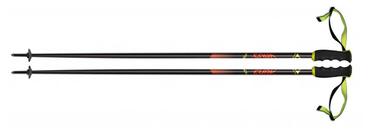 Lyžiarske palice Fischer RC4 The Curv AL