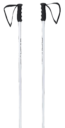 Lyžiarske palice Head Worldcup SL