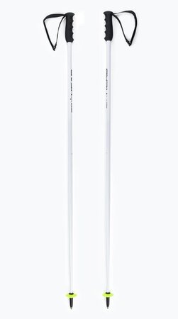 Lyžiarske palice Head Worldcup SL