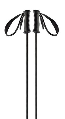 Lyžiarske palice Head Carbon Black 19/20