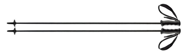 Lyžiarske palice Head Carbon Black 19/20