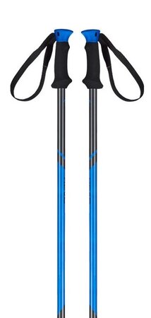 Lyžiarske palice Head Multi S Allride Anthracite Neon Blue 19/20