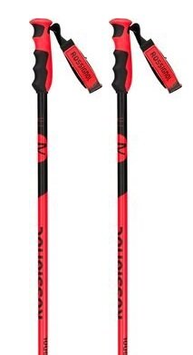 Lyžiarske palice Rossignol Hero GS