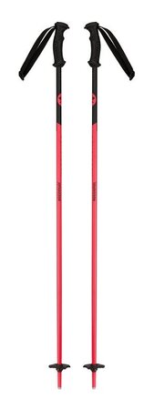 Lyžiarske palice Rossignol Hero Jr 21/22