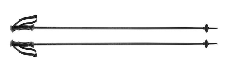 Lyžiarske palice Salomon Arctic Lady Black Grey 23/24