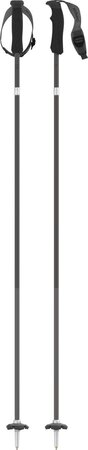 Lyžiarske palice Volant Sqs Black/Carbon
