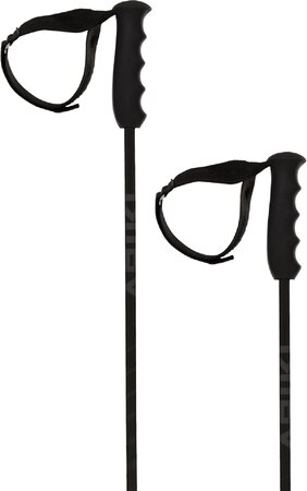 Lyžiarske palice Völkl Speedstick Carbon Black 22/23