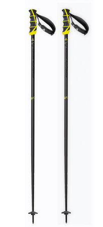 Lyžiarske palice Fischer RC4 Worldcup