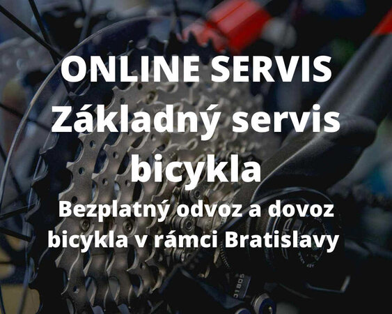 Základný online servis bicykla