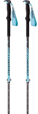 Skialpové palice Dynafit Free Vario Pole Silvertta