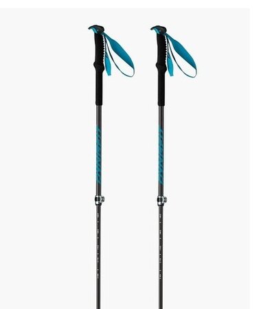 Skialpové palice Dynafit Speedfit Vario Pole 2 Frost