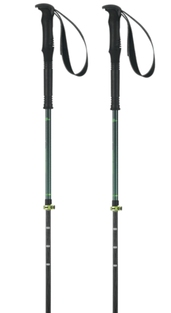 Skialpové palice Elan Tour Carbon Rod