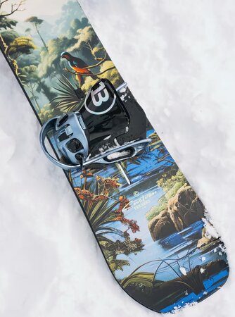 Snowboard Burton Men's Custom Camber Jungle 25/26