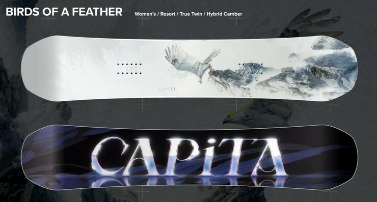 Snowboard Capita Birds Of A Feather 25/26