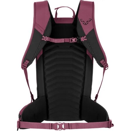 Batoh Dynafit Ridge 24 Backpack W Amaranth/Black Out