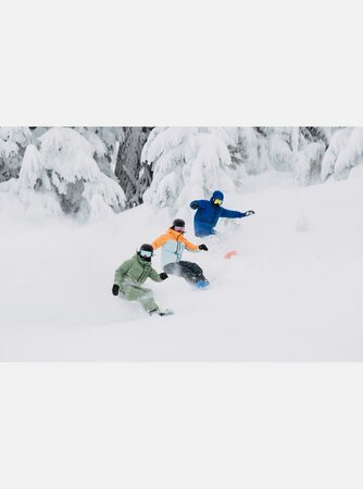 Bunda Burton Embark GORE-TEX 2L Jacket Hedge Green