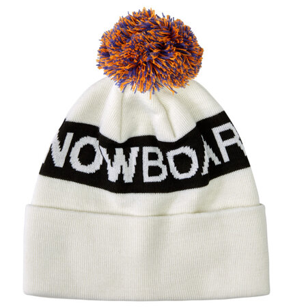 Zimná čiapka DC Chester Beanie Pelican