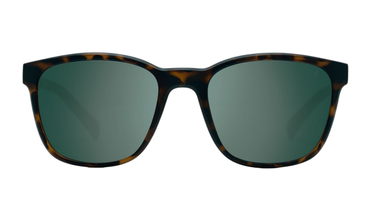Slnečné okuliare Cébé Enjoy Matt Tortoise/Green