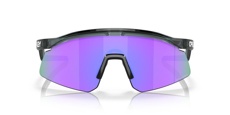 Okuliare Oakley Hydra Crystal Black w/Prizm Violet