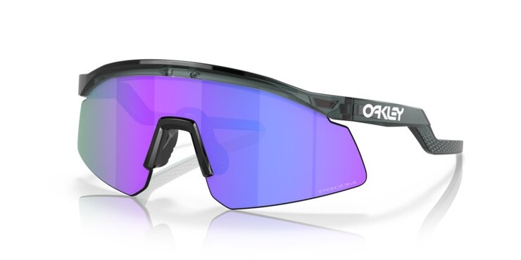Okuliare Oakley Hydra Crystal Black w/Prizm Violet