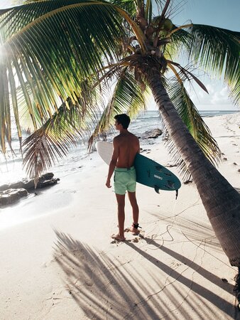 Pánske plavky Sea'sons Main Blue/Green