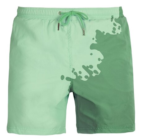 Pánske plavky Sea'sons Main Mint/Green