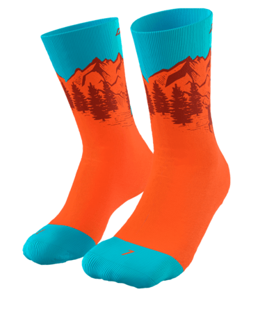 Ponožky Dynafit Stay Fast Iowa