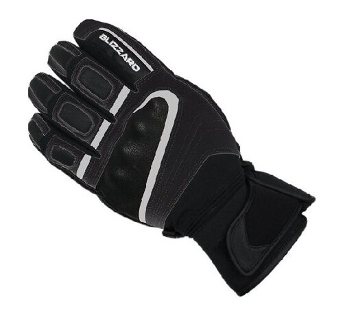 Lyžiarske rukavice Blizzard Competition black/silver 19/20