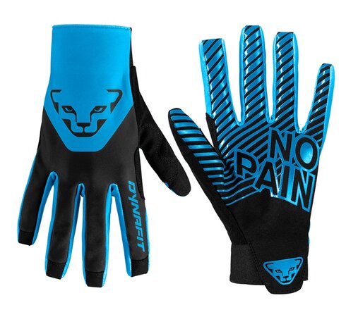 Rukavice Dynafit DNA 2 Gloves Frost