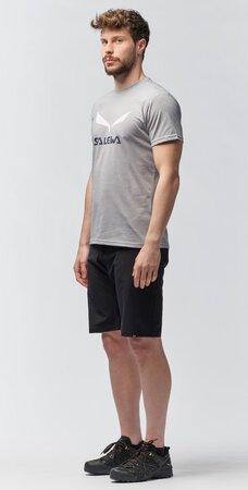 Tričko Salewa Solidlogo Dry M Heather Grey