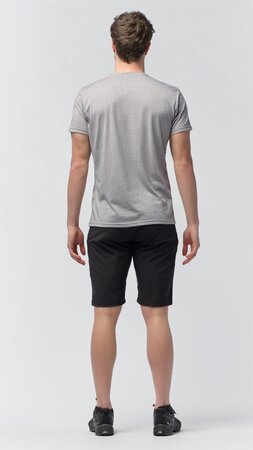 Tričko Salewa Solidlogo Dry M Heather Grey