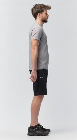 Tričko Salewa Solidlogo Dry M Heather Grey