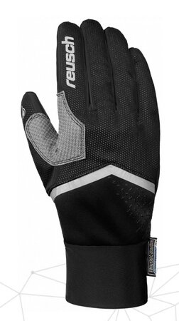 Lyžiarske rukavice Reusch Arien Stormbloxx black / silver 19/20