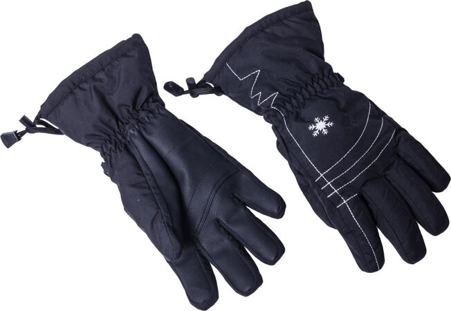 Lyžiarske rukavice Blizzard Viva Echo ski gloves black/ silver