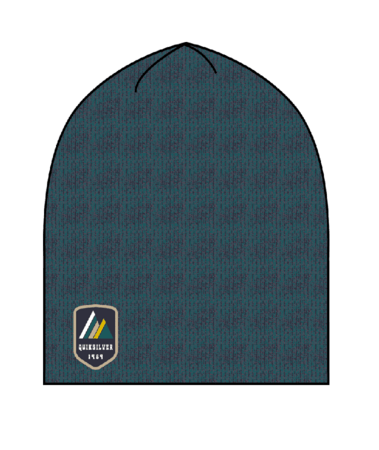 Zimná čiapka Quicksilver Silas Beanie Green 20/21