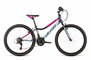 Bicykel Dema Iseo 24 Dark Violet 2020