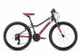 Bicykel Dema Pegas 24 Dark/Grey/Pink 2020